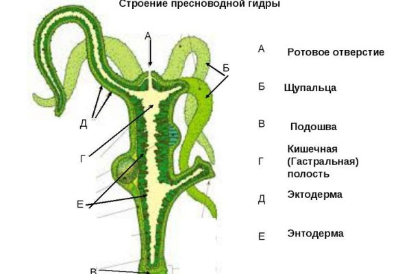 Кракен 18ат